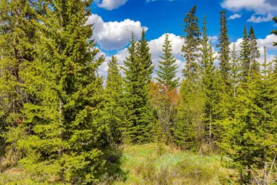 632 El Lobo Lane, Fairplay, CO 80440 - Photo 8