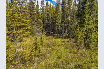 632 El Lobo Lane, Fairplay, CO 80440 - Photo 16