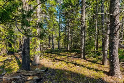 440 Gold Trail Circle, Fairplay, CO 80440 - Photo 18