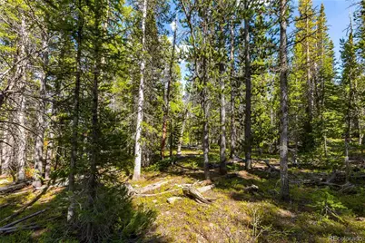 440 Gold Trail Circle, Fairplay, CO 80440 - Photo 6