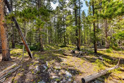 440 Gold Trail Circle, Fairplay, CO 80440 - Photo 22