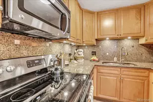 1029 E 8th Ave, Denver, CO 80218 - Photo 14