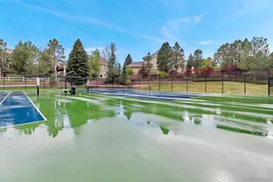9650 Aspen Hill Circle, Lone Tree, CO 80124 - Photo 40