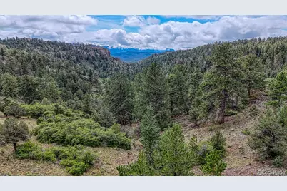 62 Cheyenne Road, Florissant, CO 80816 - Photo 40