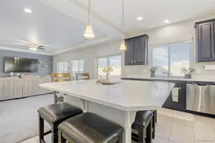 18977 Randolph Pl, Denver, CO 80249 - Photo 20