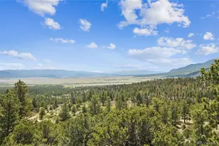 30043 Creek Run, Buena Vista, CO 81211 - Photo 46