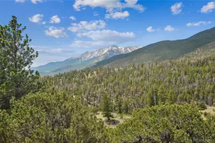 30043 Creek Run, Buena Vista, CO 81211 - Photo 44