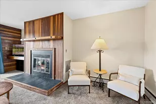 91300 Ryan Gulch Rd, Silverthorne, CO 80498 - Photo 2