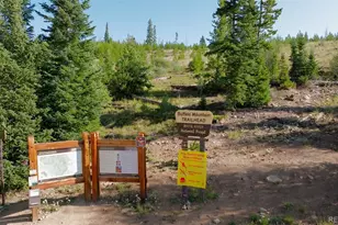 91300 Ryan Gulch Rd, Silverthorne, CO 80498 - Photo 36