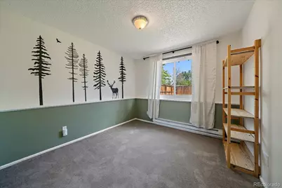 4884 S Braun Street, Morrison, CO 80465 - Photo 16
