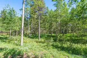 582 Karlann Dr, Black Hawk, CO 80422 - Photo 36