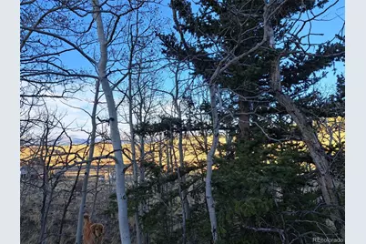 541 War Lane, Como, CO 80432 - Photo 8