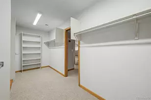 6936 Old Ranch Trail, Littleton, CO 80125 - Photo 28