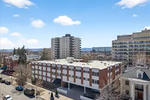 855 N Pennsylvania Street, Denver, CO 80203 - Photo 34