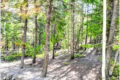 2222 Swift Claim Road, Georgetown, CO 80444 - Photo 6