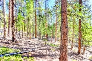 2222 Swift Claim Rd, Georgetown, CO 80444 - Photo 1