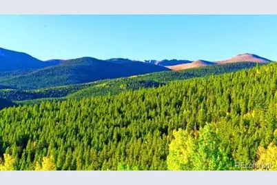 2222 Swift Claim Road, Georgetown, CO 80444 - Photo 4
