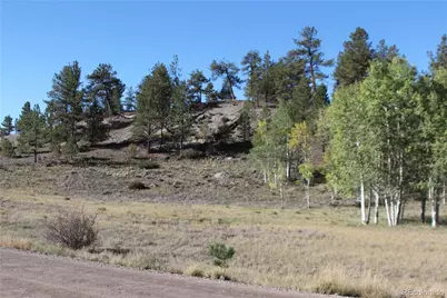 2721 Ranch Road, Hartsel, CO 80449 - Photo 2