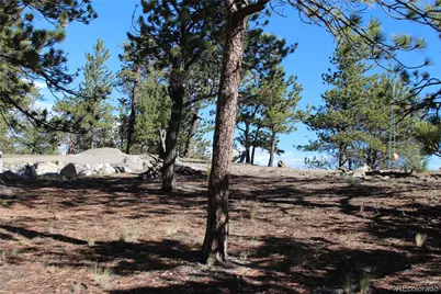 2721 Ranch Road, Hartsel, CO 80449 - Photo 10