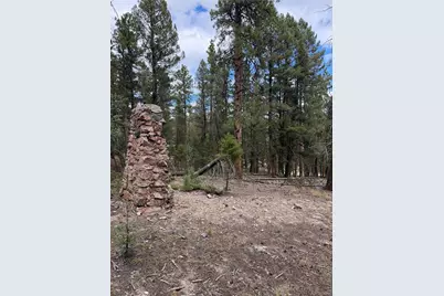0000 Tobbogan Road, Pine, CO 80407 - Photo 4