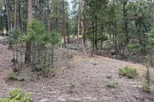 0000 Tobbogan Rd, Pine, CO 80407 - Photo 1