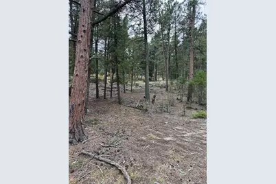 0000 Tobbogan Road, Pine, CO 80407 - Photo 6