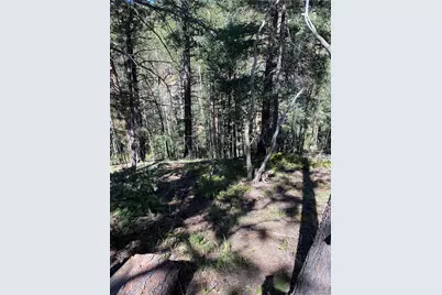 452 Wilson Drive, Florissant, CO 80816 - Photo 4