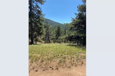 452 Wilson Drive, Florissant, CO 80816 - Photo 2