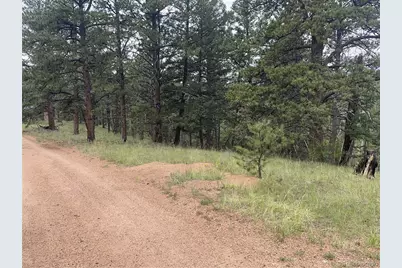 452 Wilson Drive, Florissant, CO 80816 - Photo 1