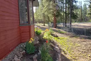 245 Baby Doe Dr, Leadville, CO 80461 - Photo 42