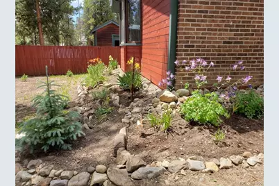 245 Baby Doe Drive, Leadville, CO 80461 - Photo 38