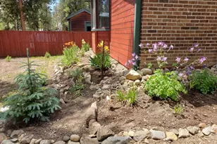 245 Baby Doe Dr, Leadville, CO 80461 - Photo 38