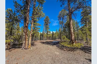 199 Cedar Drive, Twin Lakes, CO 81251 - Photo 2