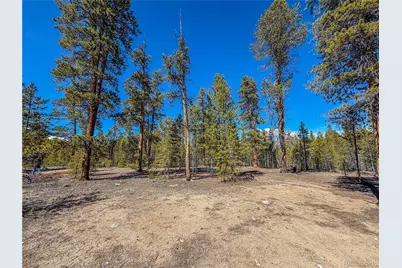 199 Cedar Drive, Twin Lakes, CO 81251 - Photo 4