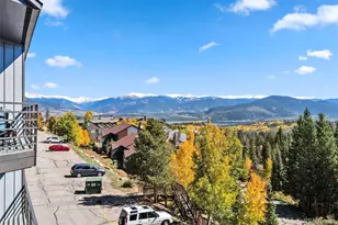 9825 Ryan Gulch Rd, Silverthorne, CO 80498 - Photo 22