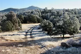 395 Fox Fire Trl, Cotopaxi, CO 81223 - Photo 40