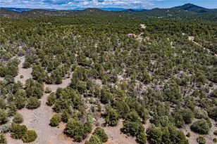 395 Fox Fire Trl, Cotopaxi, CO 81223 - Photo 48