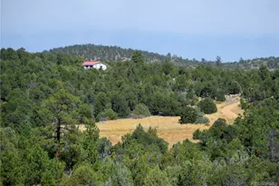395 Fox Fire Trl, Cotopaxi, CO 81223 - Photo 38