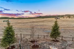 189 Goldenburg Canyon Rd, Hartsel, CO 80449 - Photo 20