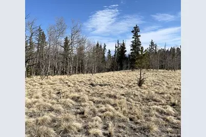 27 Warpath Road, Como, CO 80432 - Photo 2