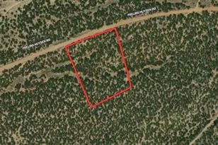 Freling Huysen Rd, Fort Garland, CO 81133 - Photo 1