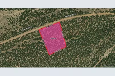 Freling Huysen Road, Fort Garland, CO 81133 - Photo 2