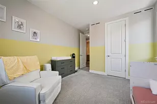 8491 Hotchkiss Loop, Littleton, CO 80125 - Photo 32
