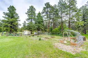 8788 E Tanglewood Rd, Franktown, CO 80116 - Photo 38