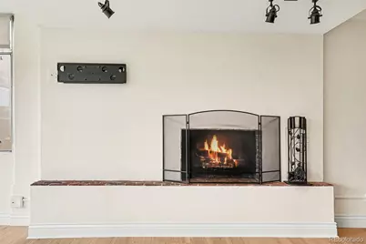 1313 N Williams Street #705, Denver, CO 80218 - Photo 6