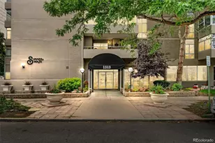 1313 N Williams St, Denver, CO 80218 - Photo 28