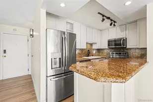 1313 N Williams St, Denver, CO 80218 - Photo 16