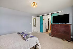 87 Peabody St, Castle Rock, CO 80104 - Photo 10