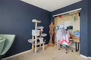 87 Peabody St, Castle Rock, CO 80104 - Photo 12