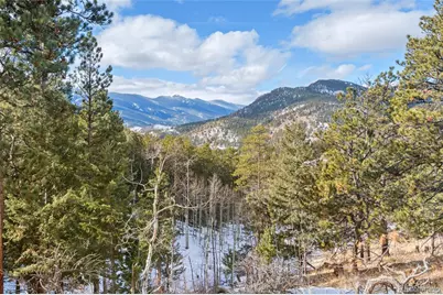 135 Linda Trail, Bailey, CO 80421 - Photo 2
